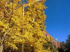 -北京市海淀外国语实验学校