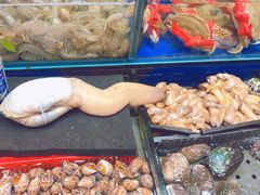 -黄沙水产交易市场