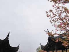 -八大山人梅湖景区
