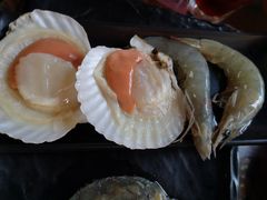 扇贝-丽江庭院之爱在路上(西单店)