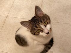 -亚宠动物医院·芭比堂宠物医院(盘龙店)