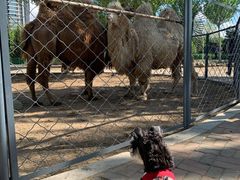 -长白岛森林公园