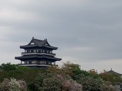 -海珠湖公园
