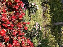 -丹东路渡口(轮渡站)