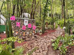 -帽儿山风景区