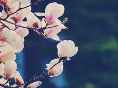 -北京积水潭医院-停车场