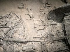 -北京大葆台遗址博物馆