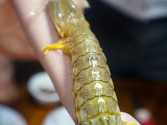 -凯华海鲜火锅·传承三十六年