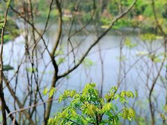 -重庆彩云湖湿地公园