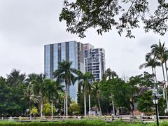 -金砂公园