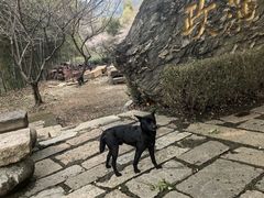 -丝绸小镇荻港古村