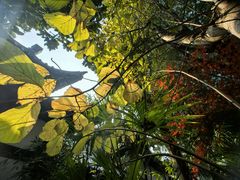 -丝绸小镇荻港古村