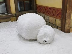 -广州热雪奇迹
