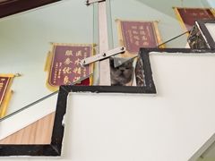 -瑞鹏宠物医院·内科·中兽医·骨科(苗圃店)