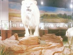 -陕西自然博物馆