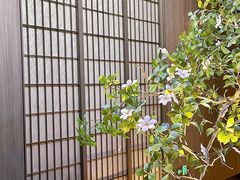 -潇湘府PLUS(大族广场店)