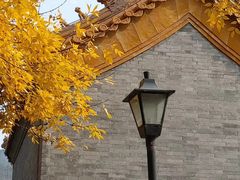 -巴渝兄弟川菜(宽街店)