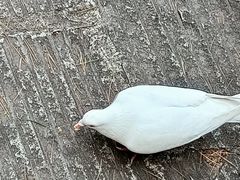 -宝通禅寺