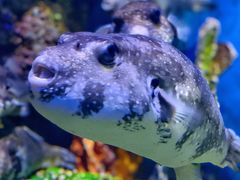 -石林冰雪海洋世界