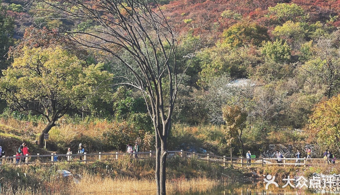 🍁赏红叶啦！