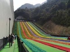 -梦幻奥陶纪景区