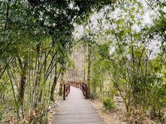 -天河潭旅游度假区