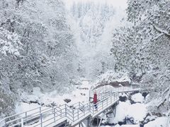 -龙苍沟森林公园