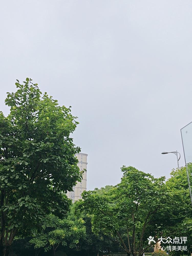 今天心情小雨转晴