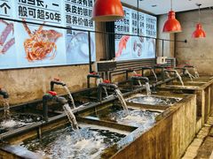 -万龙洲海鲜·粤菜(亚运村店)