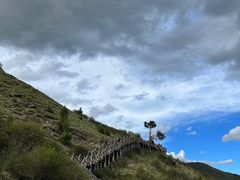 -莲宝叶则景区