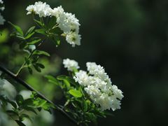 -郑和公园
