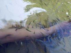 -嘉和K6温泉微度假