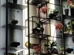 -街角 T·COFFEE 融合料理·BISTRO(车公庙店)