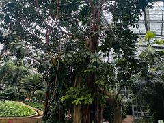 -南山植物园