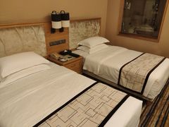 -长沙小天鹅戴斯酒店