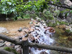 -牛背梁国家森林公园