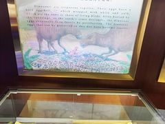 -诸城市恐龙博物馆