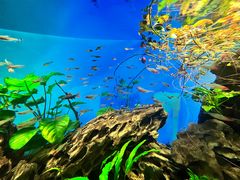 -太平洋海底世界