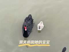 -上海野生动物园