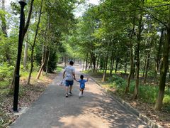 -中山市树木园