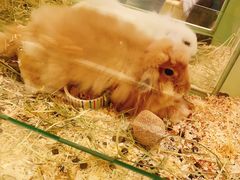 -龙猫仔乐园(惠福东路店)