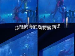 -重庆欢乐海底世界