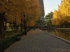 -玲珑塔公园