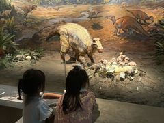 -自贡恐龙博物馆