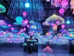 -南湖梦幻岛