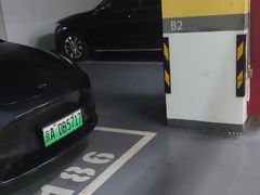 -大兴滨河森林公园