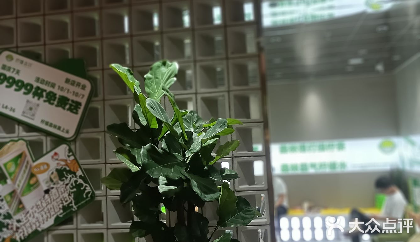 平平无奇 凑热闹小能手[坏笑]