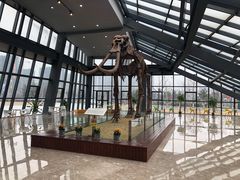 -泗洪县文化艺术中心