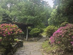 -阿哈湖国家湿地公园