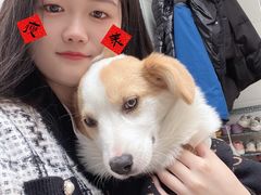 -宠福鑫康馨动物医院·骨科·眼科